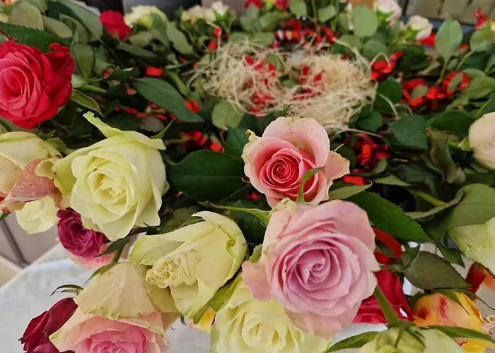 Miglior Hotel a Gabicce Mare